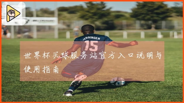 世界杯买球服务站官方入口说明与使用指南