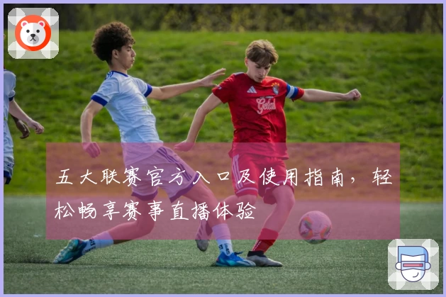 五大联赛官方入口及使用指南，轻松畅享赛事直播体验