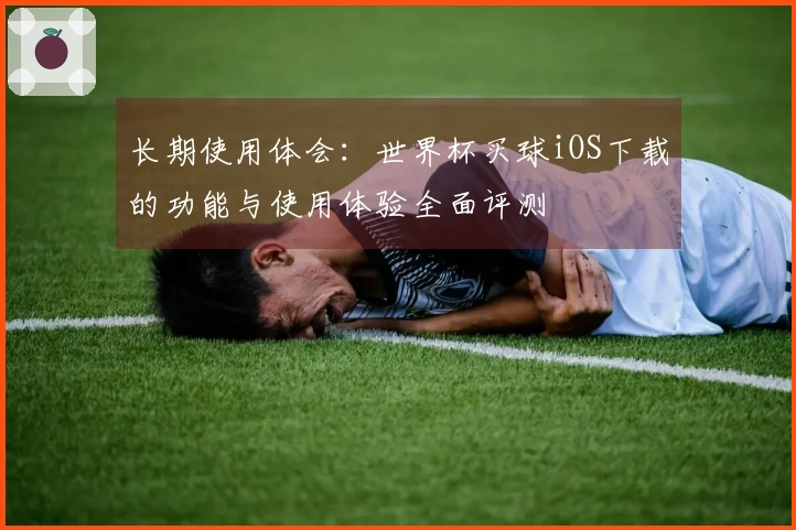 长期使用体会：世界杯买球iOS下载的功能与使用体验全面评测