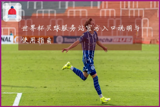 世界杯买球服务站官方入口说明与使用指南
