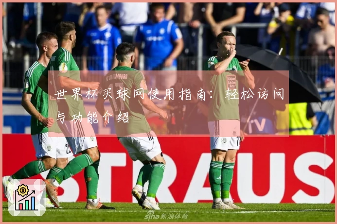 世界杯买球网使用指南：轻松访问与功能介绍