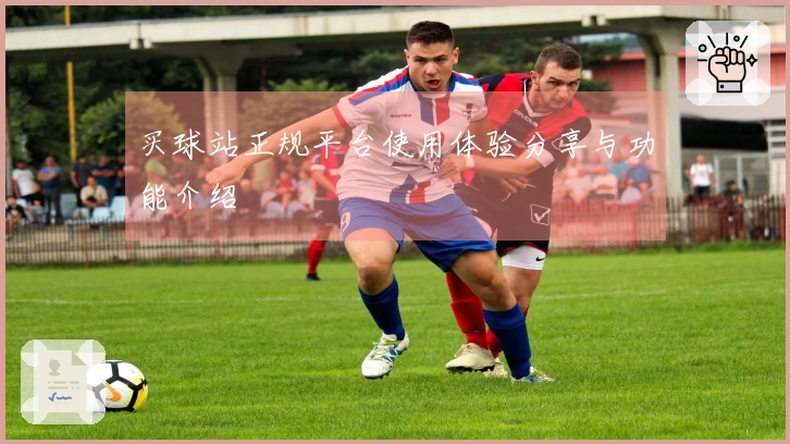 买球站正规平台使用体验分享与功能介绍