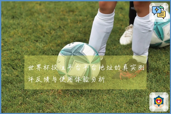 世界杯投注平台平台地址的真实测评反馈与使用体验分析