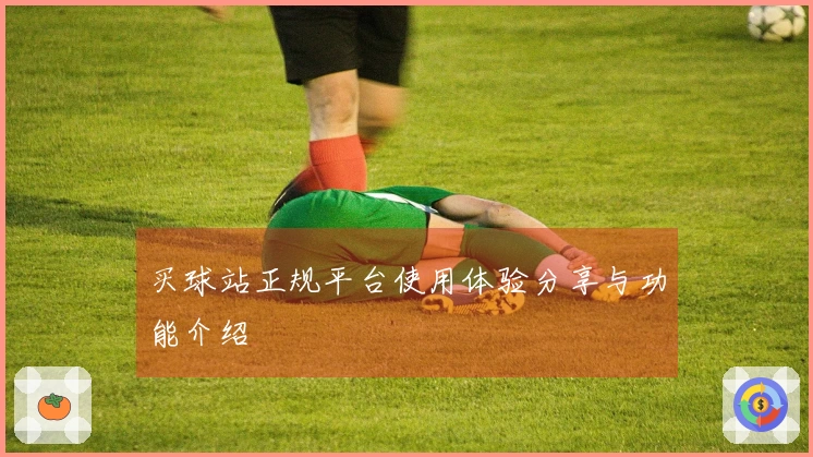 买球站正规平台使用体验分享与功能介绍