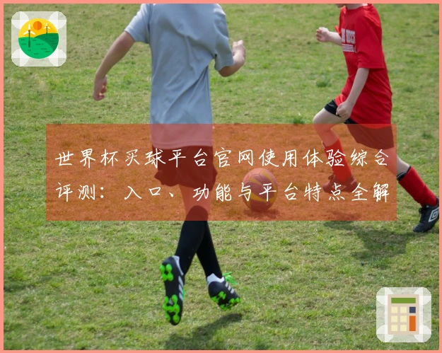 世界杯买球平台官网使用体验综合评测:入口、功能与平台特点全解析