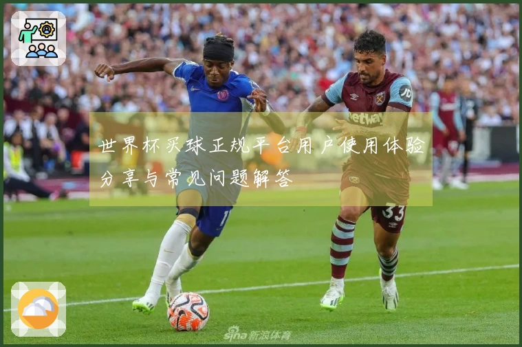 世界杯买球正规平台用户使用体验分享与常见问题解答
