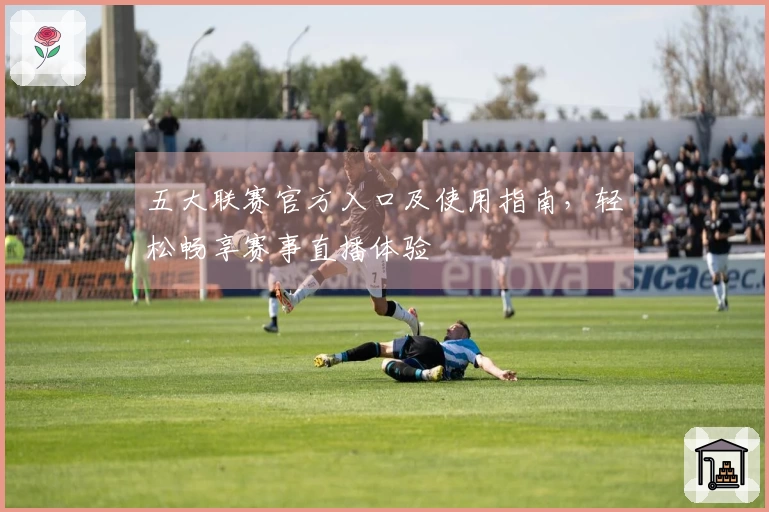 五大联赛官方入口及使用指南，轻松畅享赛事直播体验