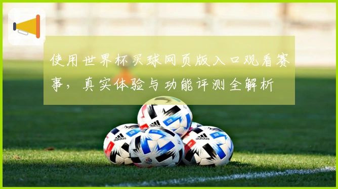 使用世界杯买球网页版入口观看赛事,真实体验与功能评测全解析