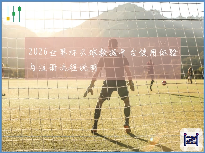 2026世界杯买球数据平台使用体验与注册流程说明