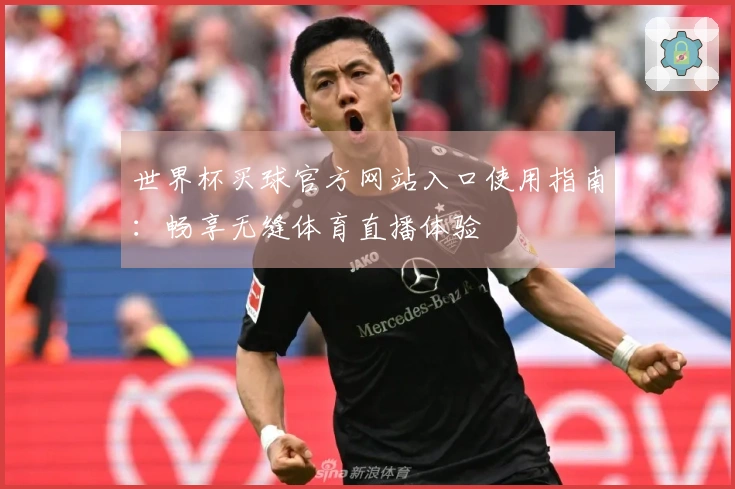 世界杯买球官方网站入口使用指南：畅享无缝体育直播体验